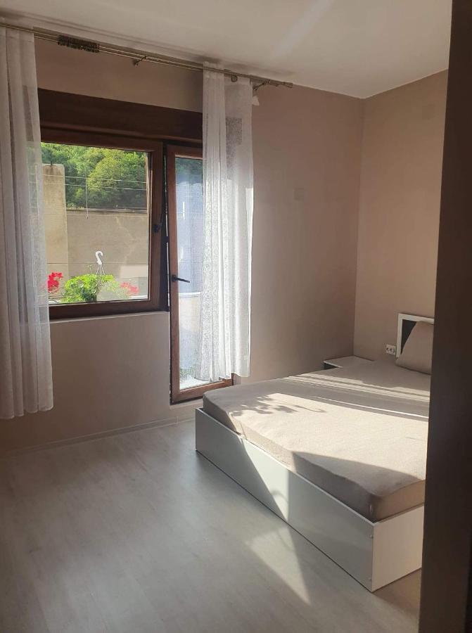 Casa Simionov Apartment Байле Херкулане Екстериор снимка